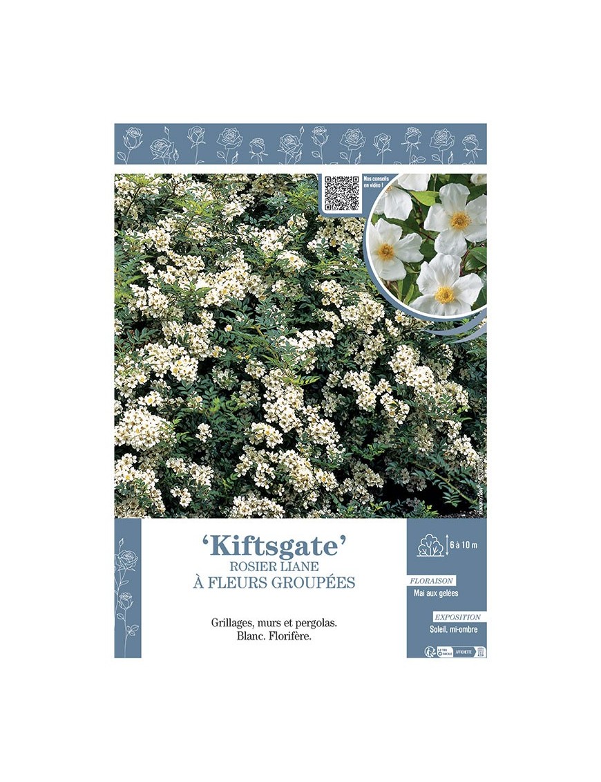 ROSIER LIANE KIFTSGATE