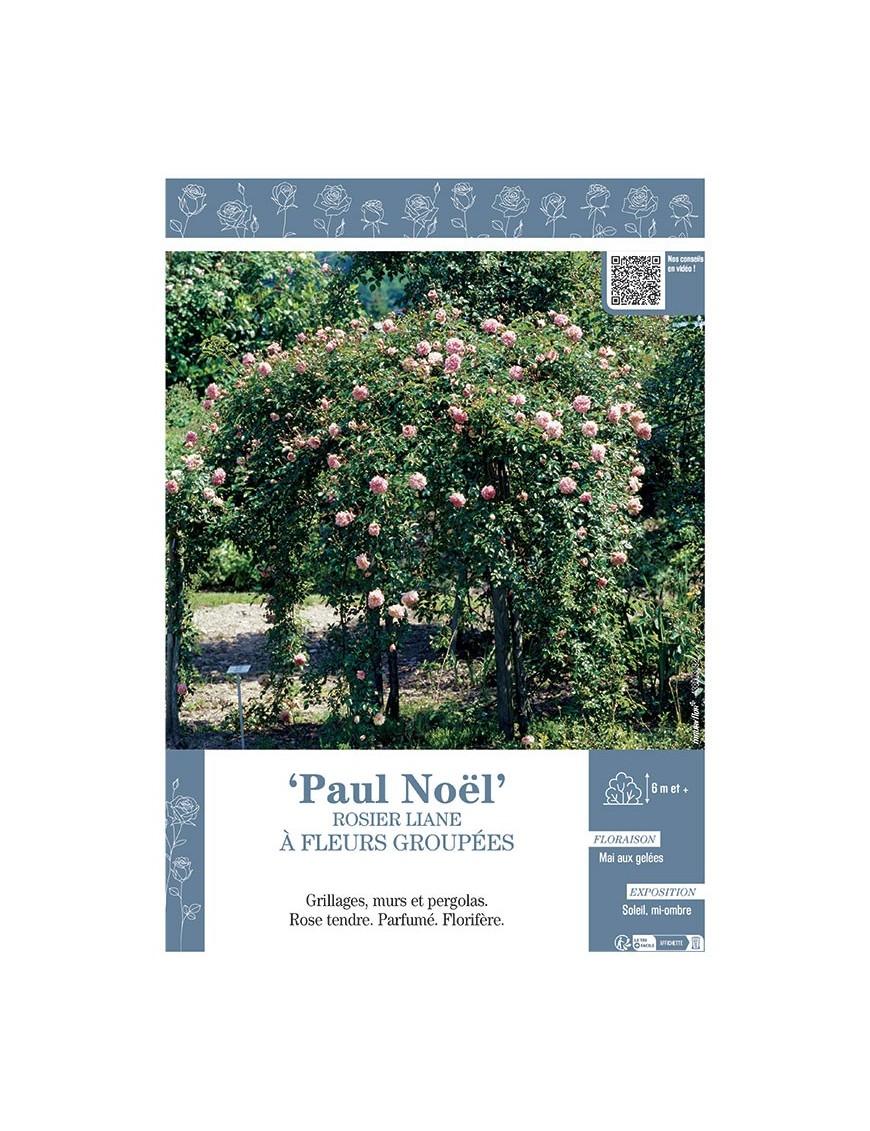 ROSIER LIANE PAUL NOEL