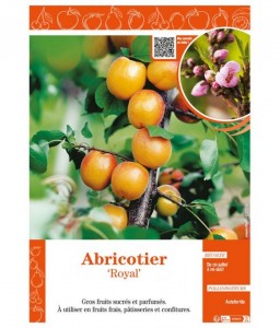 ABRICOTIER ROYAL