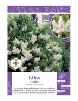 SYRINGA VULGARIS voir LILAS À FLEURS DOUBLES (blanc)
