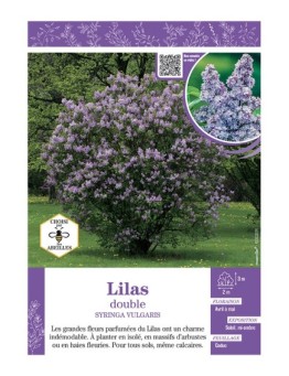 SYRINGA VULGARIS voir LILAS À FLEURS DOUBLES (bleu)