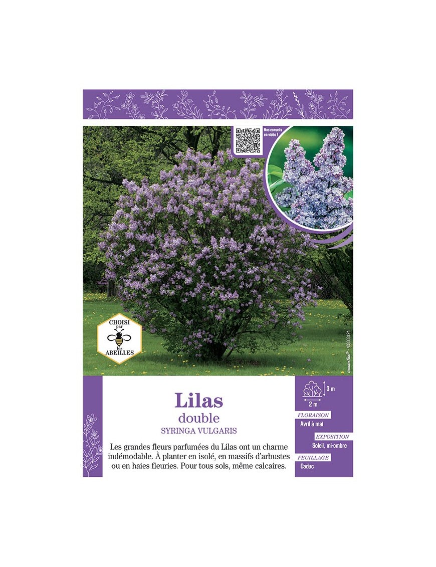 SYRINGA VULGARIS voir LILAS À FLEURS DOUBLES (bleu)