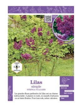 SYRINGA VULGARIS voir LILAS À FLEURS SIMPLES (rouge)