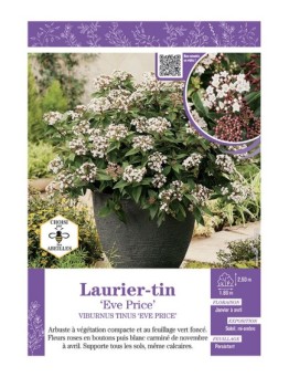 VIBURNUM TINUS EVE PRICE voir LAURIER-TIN