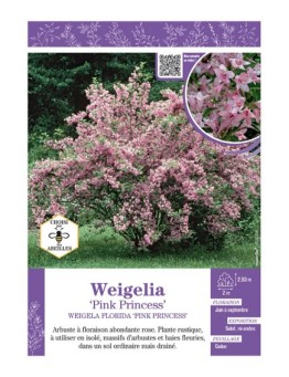WEIGELA FLORIDA PINK PRINCESS