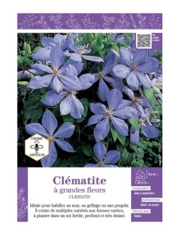 CLÉMATITE À GRANDES FLEURS (bleu clair)