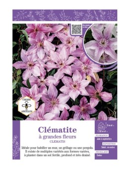 CLÉMATITE À GRANDES FLEURS (rose tendre)