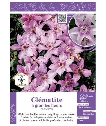 CLÉMATITE À GRANDES FLEURS (rose tendre)