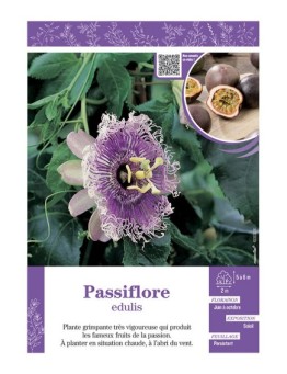 PASSIFLORA EDULIS voir PASSIFLORE