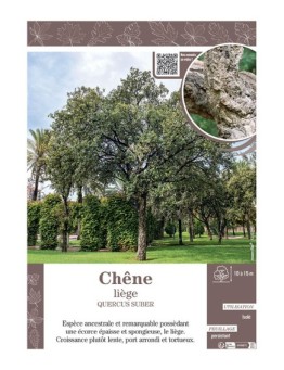 QUERCUS SUBER voir CHÊNE LIEGE