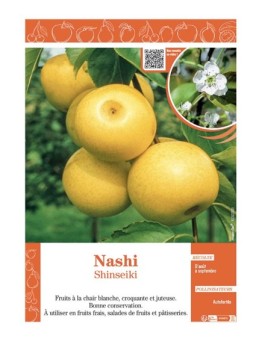 NASHI SHINSEIKI