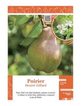 POIRIER BEURRÉ GIFFARD