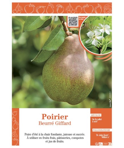 POIRIER BEURRÉ GIFFARD