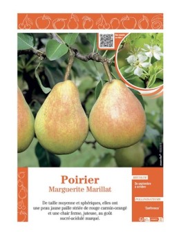 POIRIER MARGUERITE MARILLAT