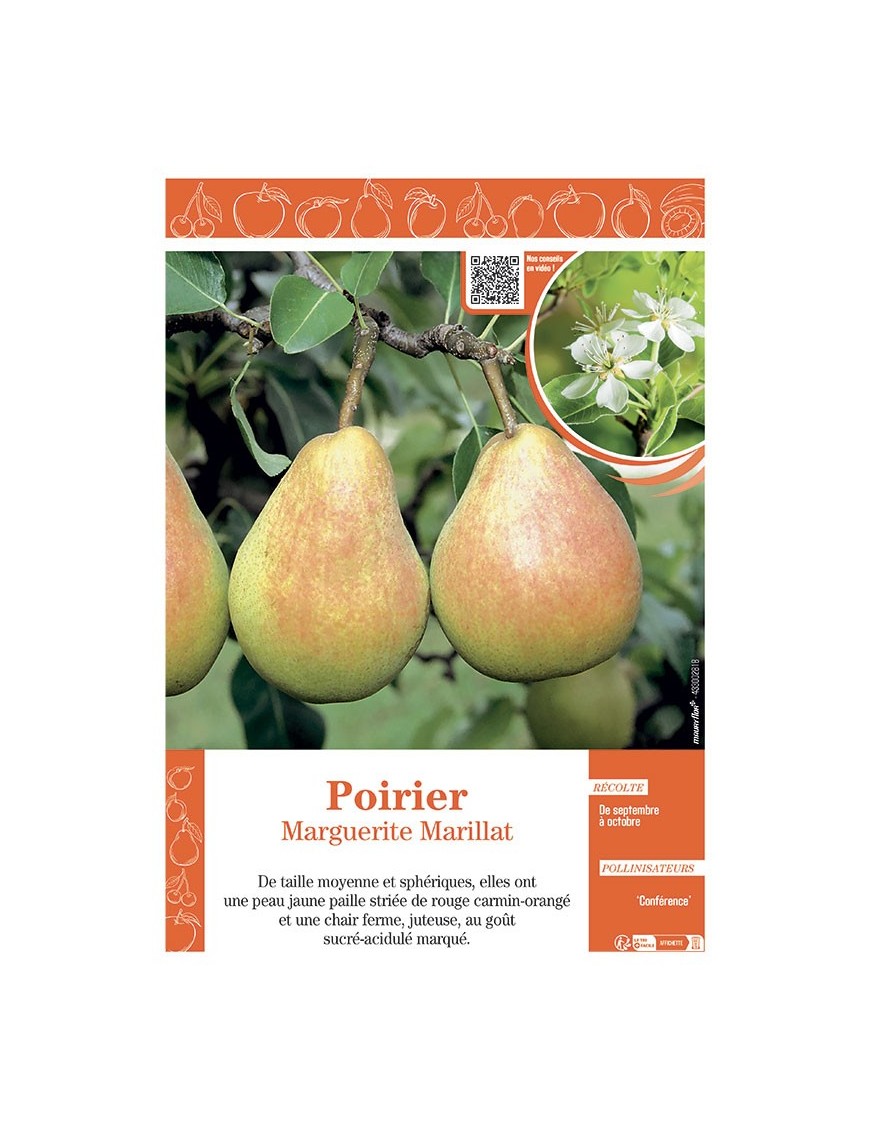 POIRIER MARGUERITE MARILLAT