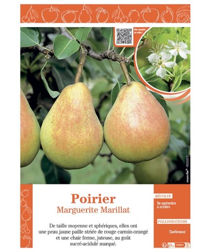 POIRIER MARGUERITE MARILLAT