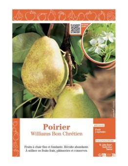 POIRIER WILLIAMS BON CHRETIEN