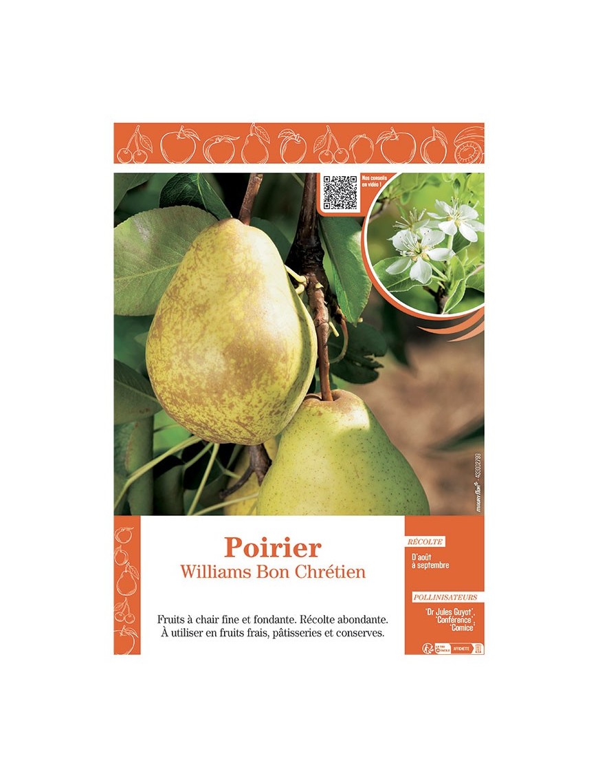 POIRIER WILLIAMS BON CHRETIEN