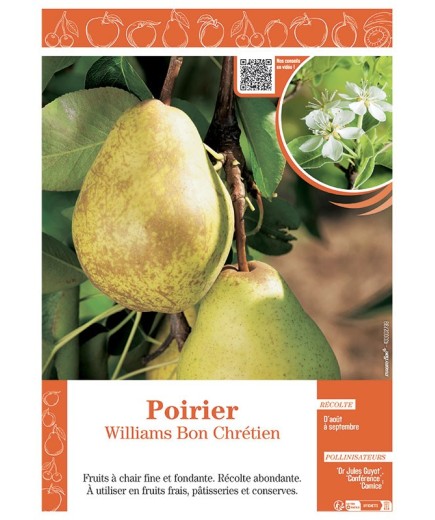 POIRIER WILLIAMS BON CHRETIEN
