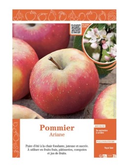 POMMIER ARIANE