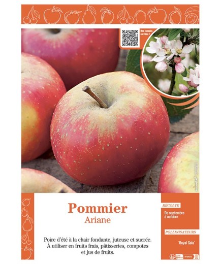 POMMIER ARIANE
