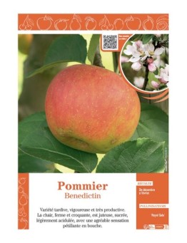 POMMIER BENEDICTIN