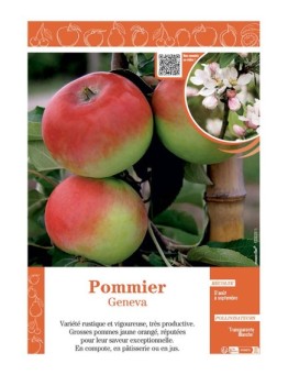 POMMIER GENEVA