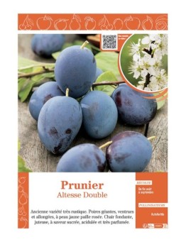 PRUNIER ALTESSE DOUBLE