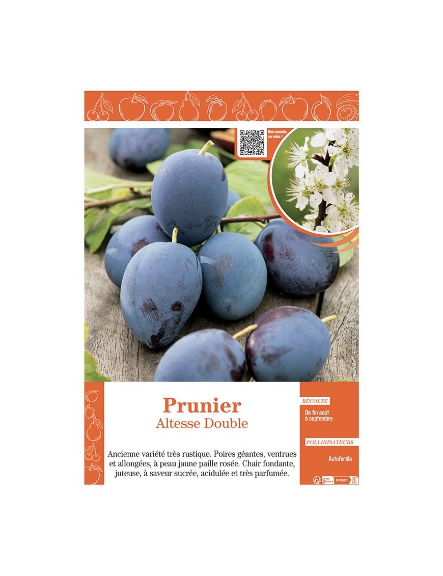 PRUNIER ALTESSE DOUBLE
