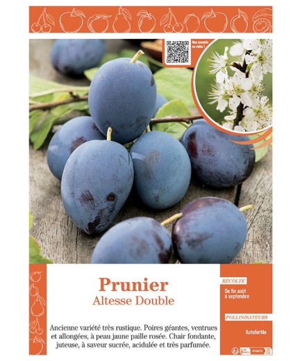 PRUNIER ALTESSE DOUBLE