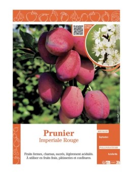 PRUNIER IMPERIALE ROUGE