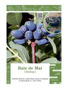 BAIE DE MAI HASKAP