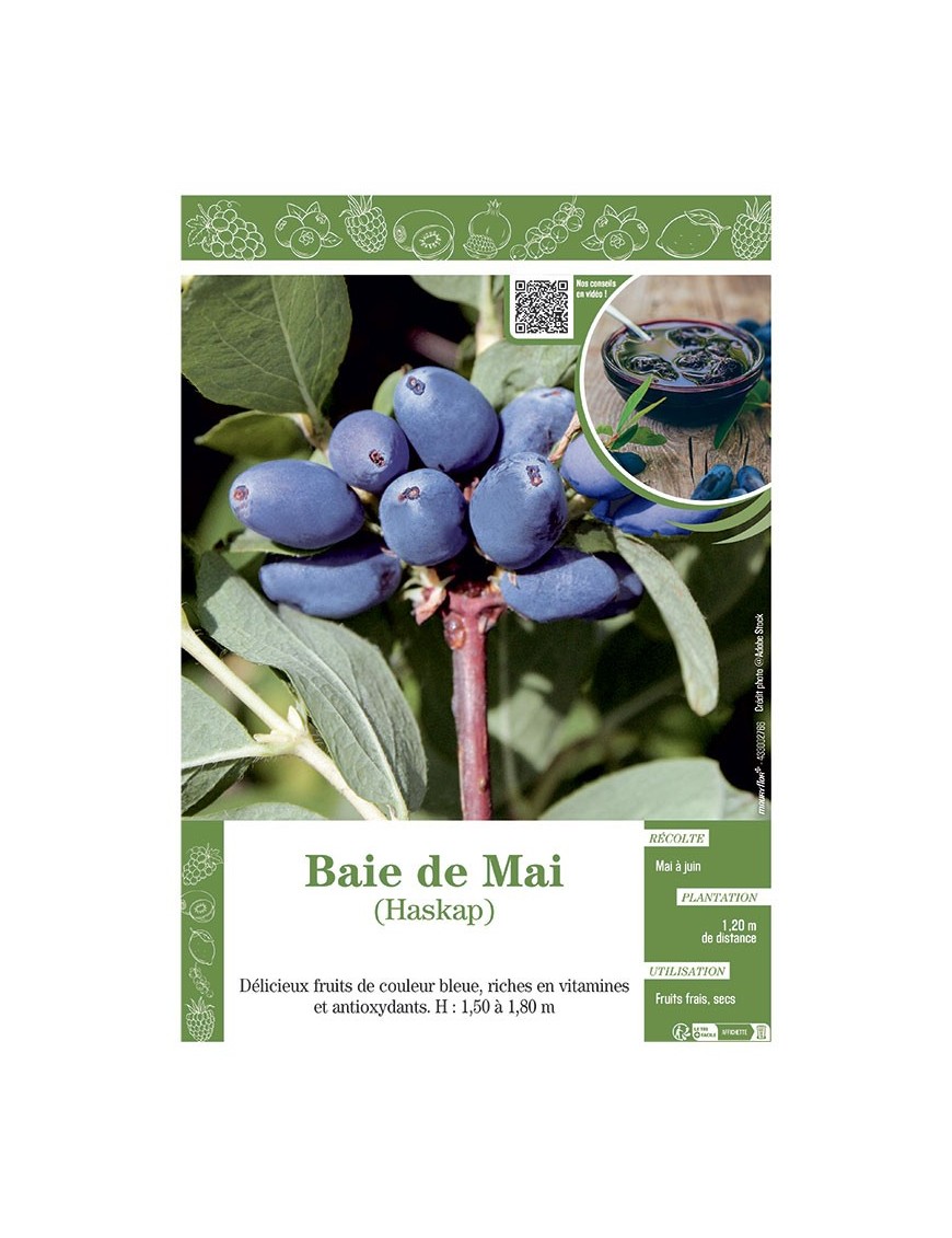 BAIE DE MAI HASKAP