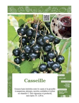 CASSEILLE