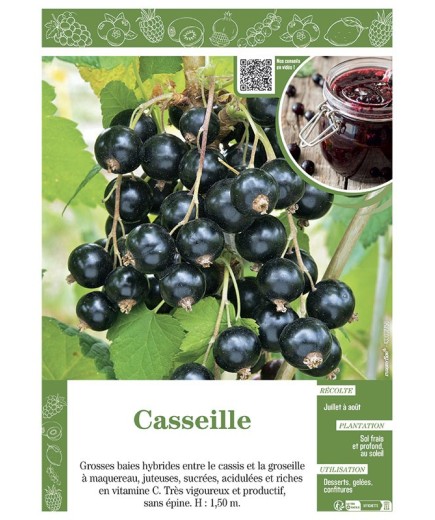 CASSEILLE