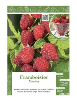 FRAMBOISIER MEEKER