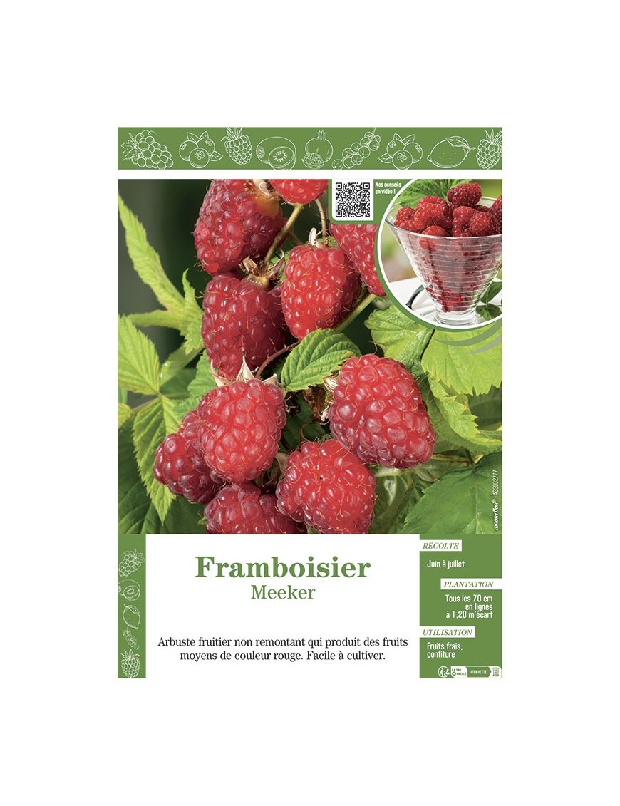 FRAMBOISIER MEEKER