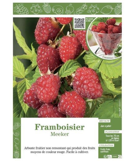 FRAMBOISIER MEEKER