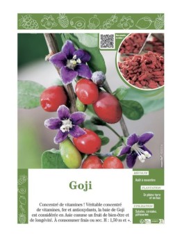 GOJI