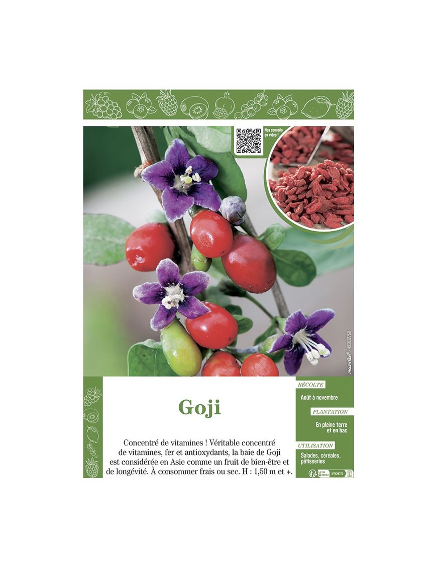 GOJI
