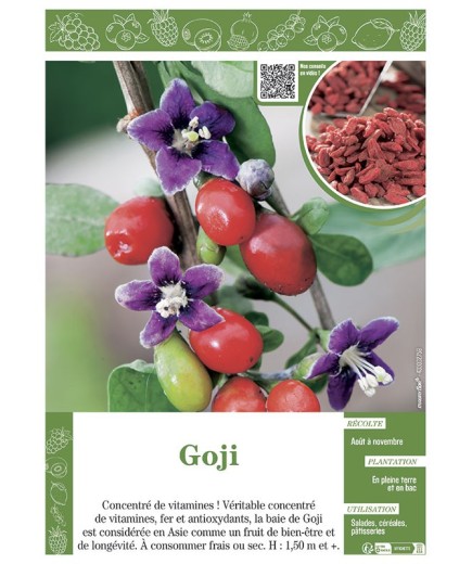 GOJI