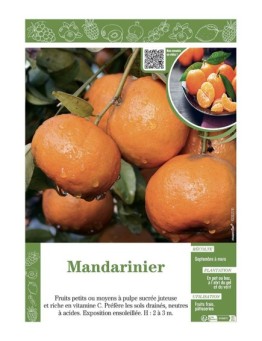 MANDARINIER