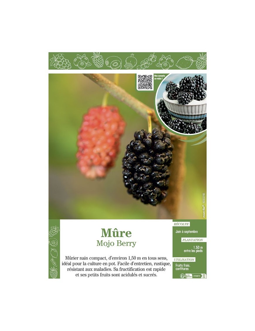 MÛRE MOJO BERRY