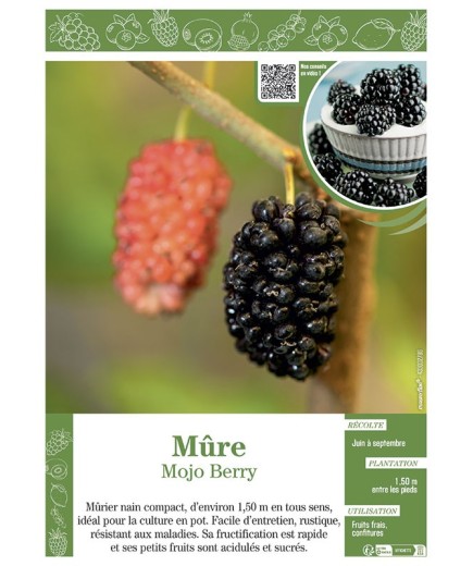 MÛRE MOJO BERRY