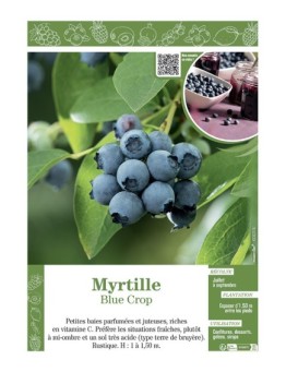 MYRTILLE BLUE CROP