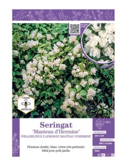 PHILADELPHUS MANTEAU D'HERMINE voir SERINGAT