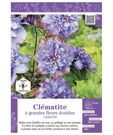 CLÉMATITE À GRANDES FLEURS DOUBLES (bleu mauve)