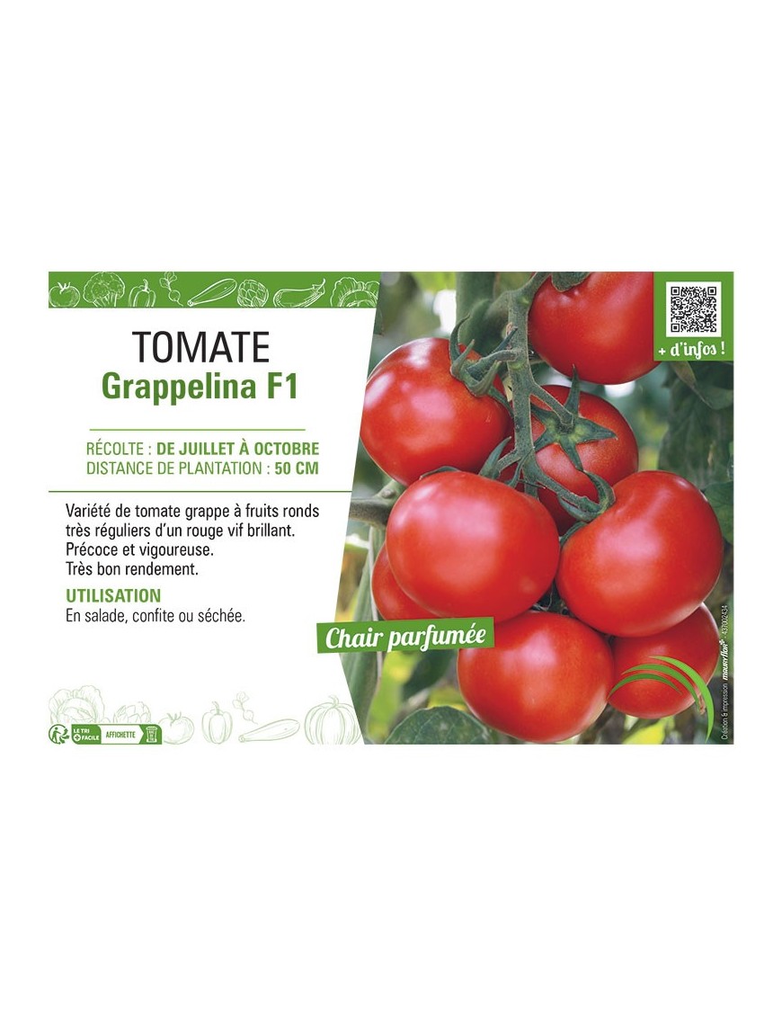 TOMATE GRAPPELINA F1