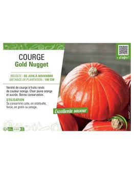 COURGE GOLD NUGGET