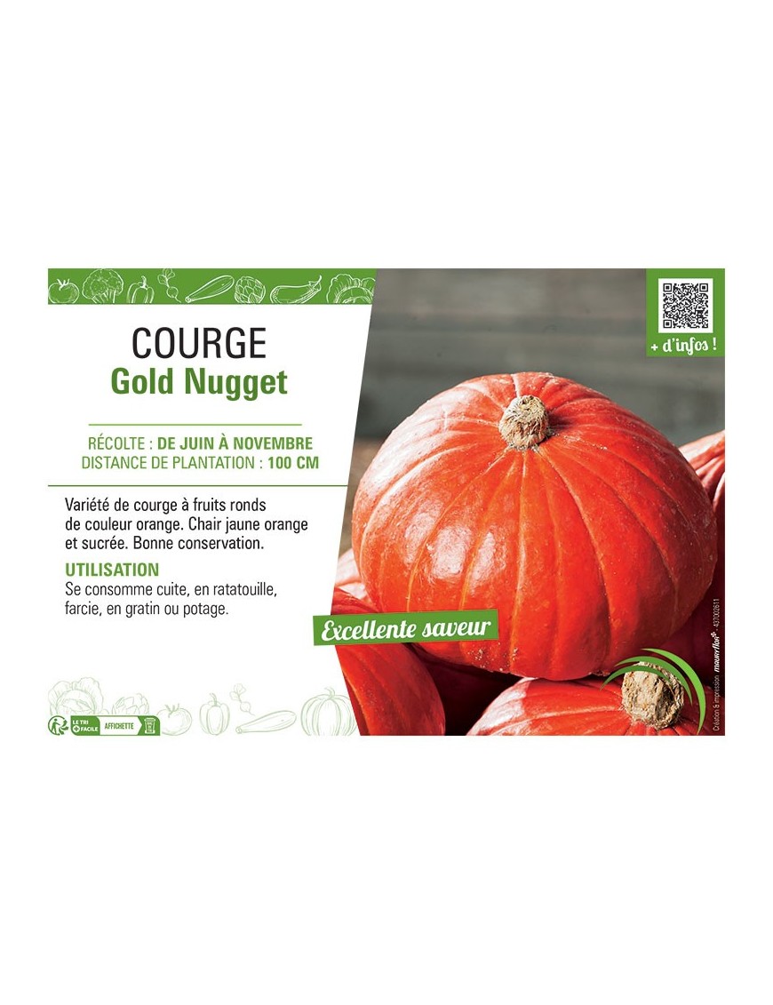 COURGE GOLD NUGGET